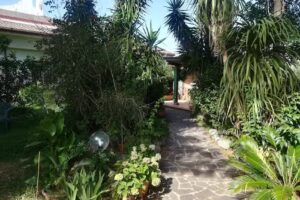 B & B Villa Delle Ginestre