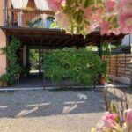 B&B Vispa Teresa – CIN: IT023091C1NVXNRHVK