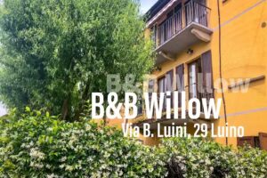 B&B Willow