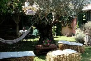 B e B Lavanda e Merletti Maison de Charme Università Salerno