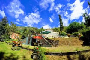 Baccheggia Azienda Agricola e Agrituristica