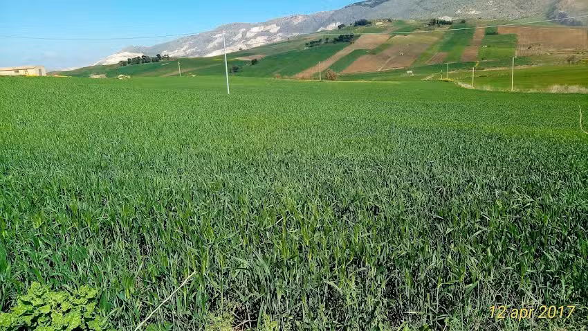 Baglio Mustazza (Casa Vacanze)