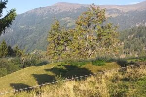 Baita Alpina Macaone