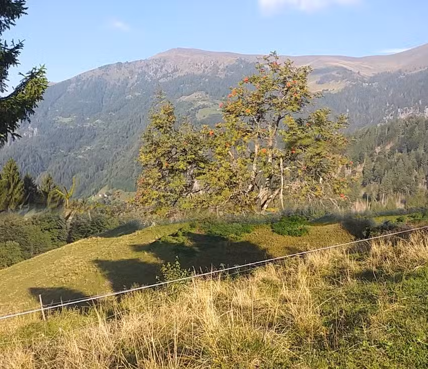 Baita Alpina Macaone