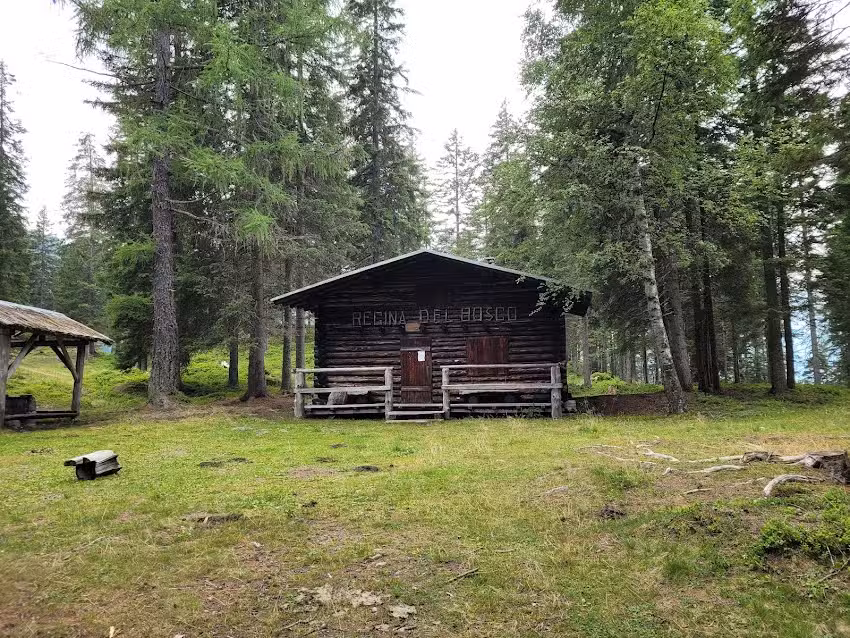 Baita la Regina del Bosco