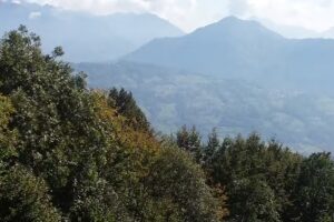 Baita Pizzo Presanella