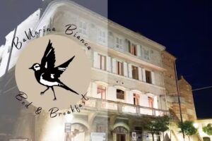 Ballerina Bianca bed & breakfast