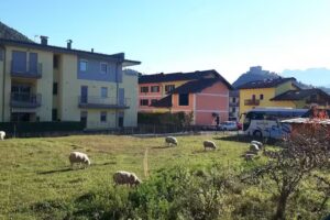 Bar – Pizzeria Da Anna