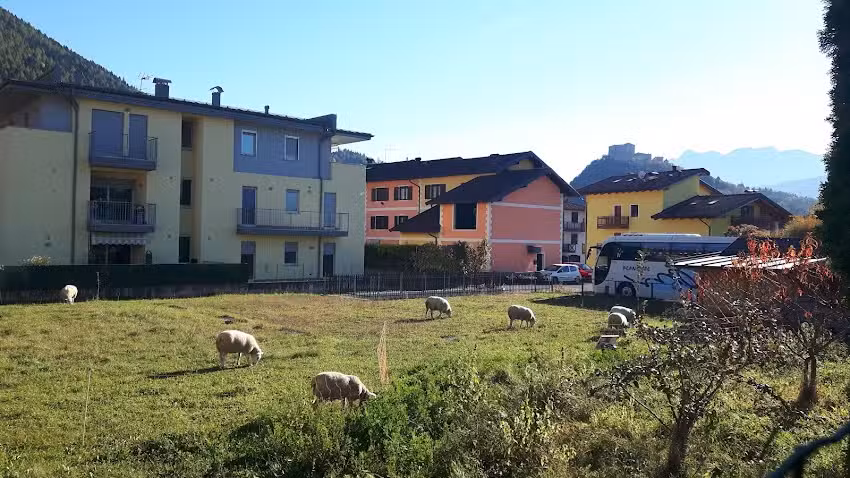 Bar – Pizzeria Da Anna