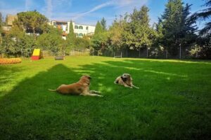 Bau House di Domenico Esposito