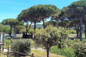 Beb de’Macchiaioli