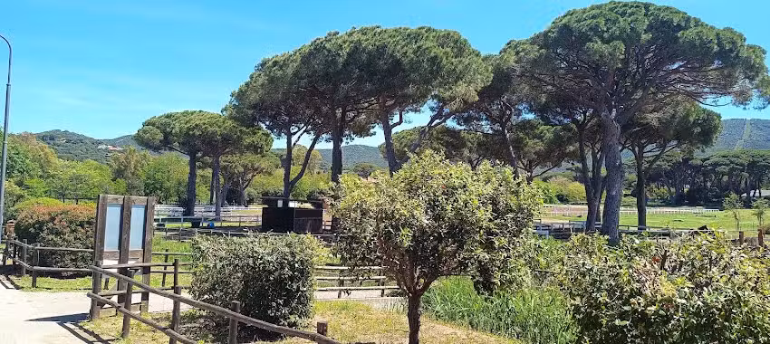 Beb de’Macchiaioli