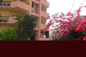 Bed and Breakfast “Agave”