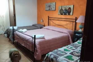 Bed and breakfast Agrumi in terrazza