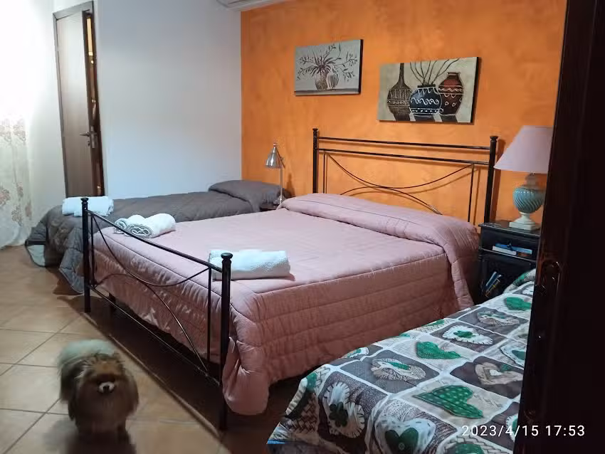 Bed and breakfast Agrumi in terrazza