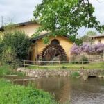 Bed and Breakfast Al Mulino