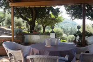 Bed and Breakfast Albe