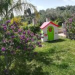 Bed And Breakfast Bellavista