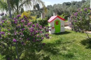 Bed And Breakfast Bellavista