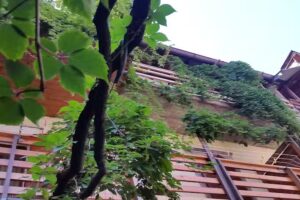 bed and breakfast Casa Toss