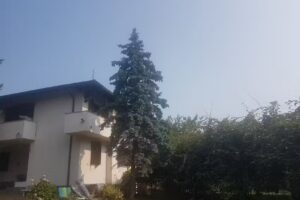 bed and breakfast delle pinete
