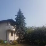 bed and breakfast delle pinete