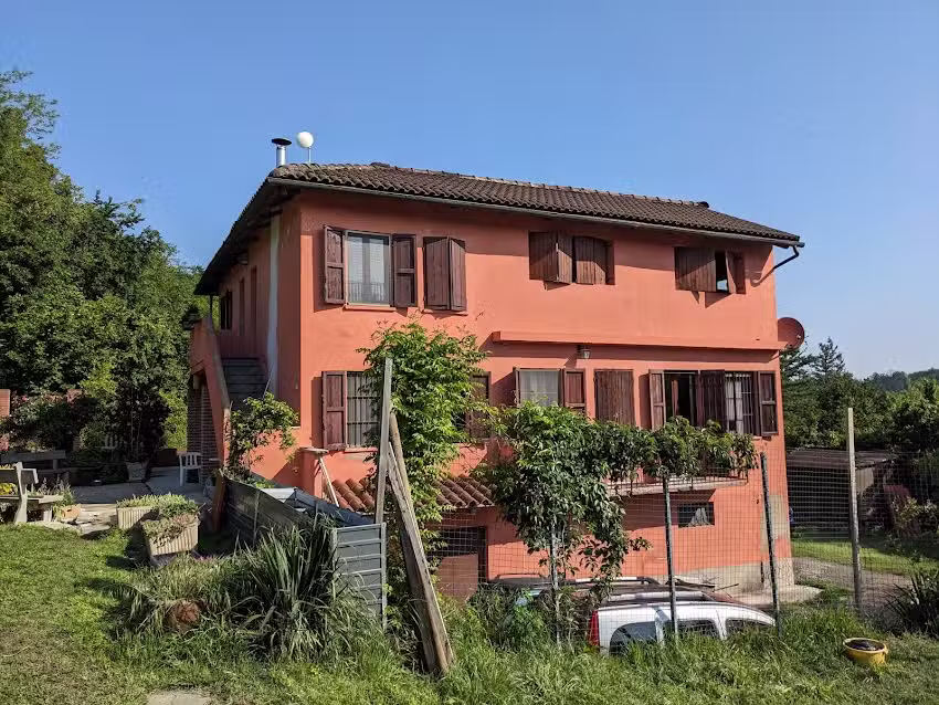 Bed and breakfast dog and Friends