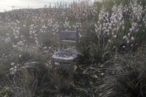 Bed And Breakfast Galati