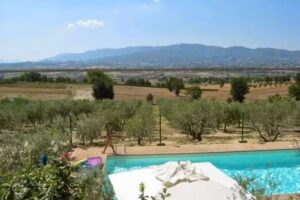 Bed And Breakfast Gli Ulivi