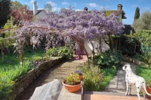 Bed and breakfast Il Glicine