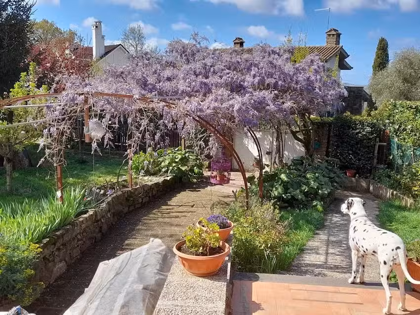 Bed and breakfast Il Glicine