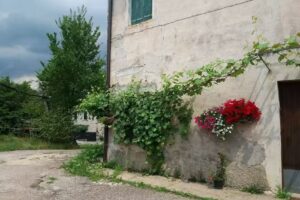 Bed and Breakfast in Corte Alta