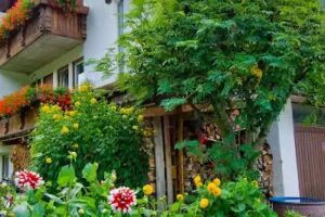 Bed and Breakfast Kiniger Sesto Val Pusteria Alto Adige Sud Tirolo – Sexten Pustertal Sudtirol