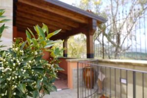 Bed and Breakfast l’Alfiere