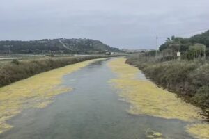 bed and breakfast l’oasi del fenicottero