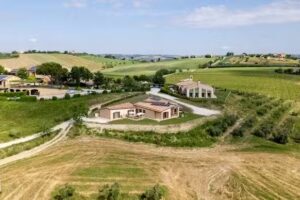 Bed and Breakfast L’Ulivo