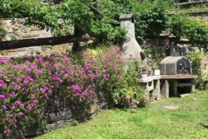 Bed and Breakfast “LA QUIETE”