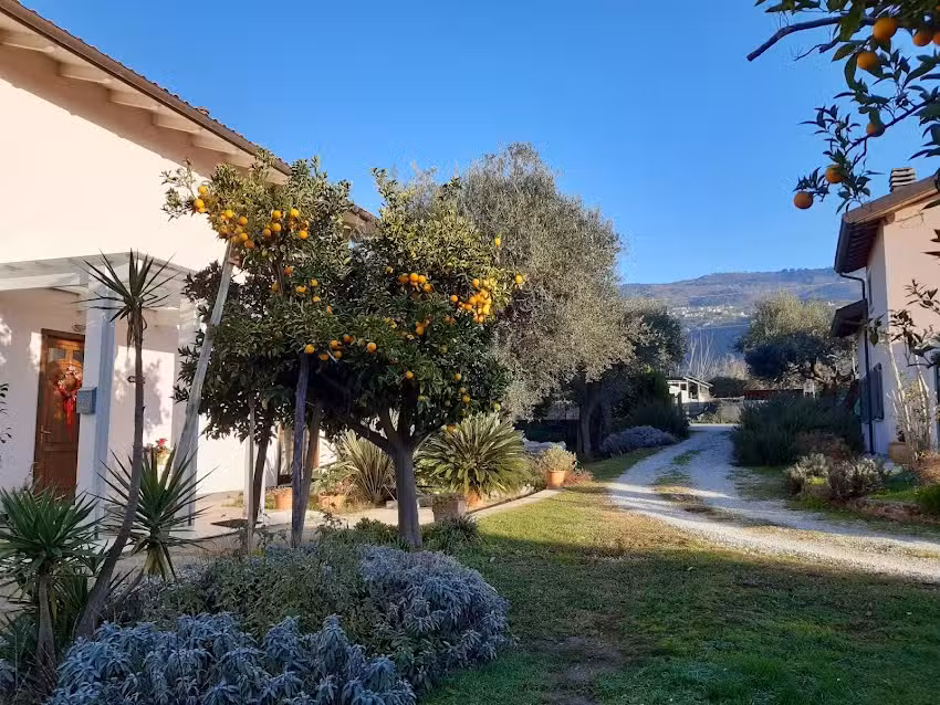 Bed and Breakfast La Rosa