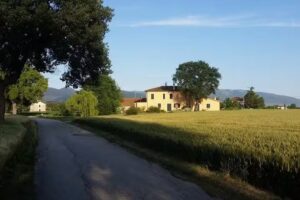 Bed and Breakfast Le Rose