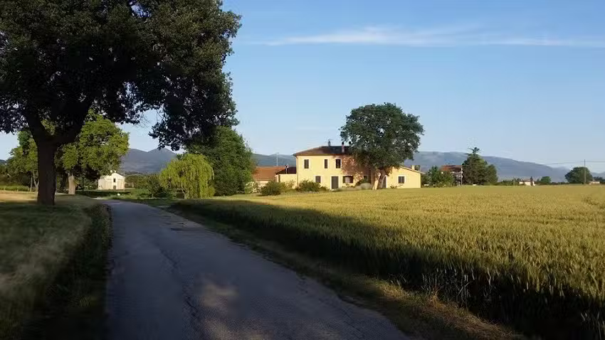 Bed and Breakfast Le Rose