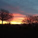 Bed and Breakfast – MATTARIGHE