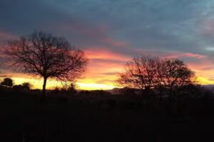 Bed and Breakfast – MATTARIGHE