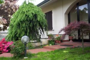 bed and breakfast Orchidea