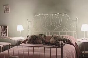 Bed and Breakfast “Stella”