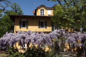 Bed and Breakfast Villa Mirano CIN IT001194C1PAS6ZITV