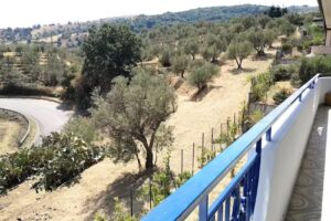 Bed and Breakfast Visioni mediterranee