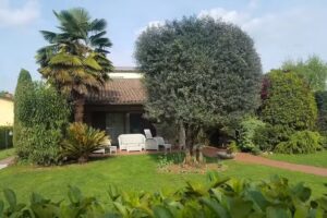 Bed&Breakfast Al Vecchio Ulivo