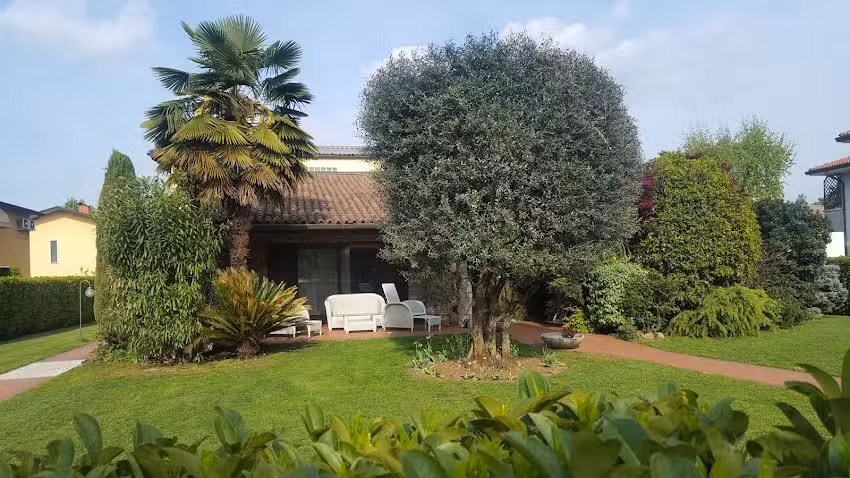 Bed&Breakfast Al Vecchio Ulivo