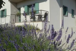Bed & Breakfast Cuore di Lavanda