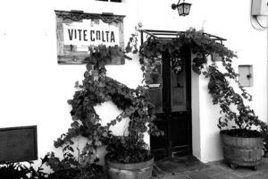 Bed & Breakfast “Dolce Felline”